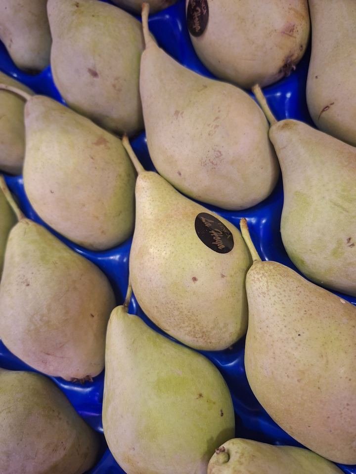 Frutas