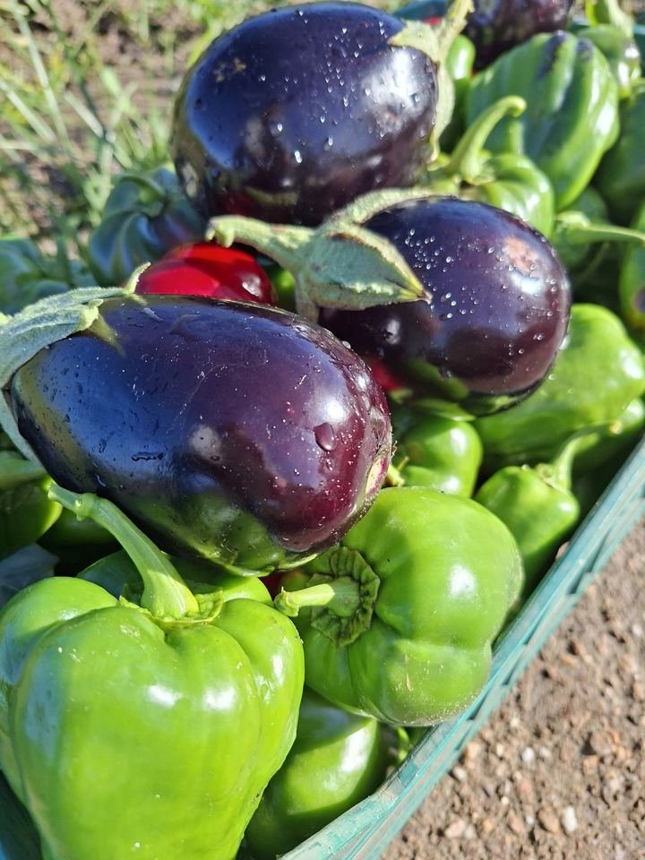 Verduras