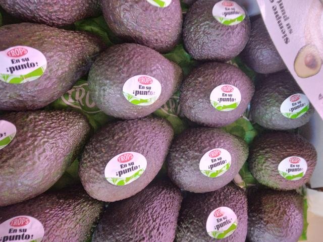 Aguacate