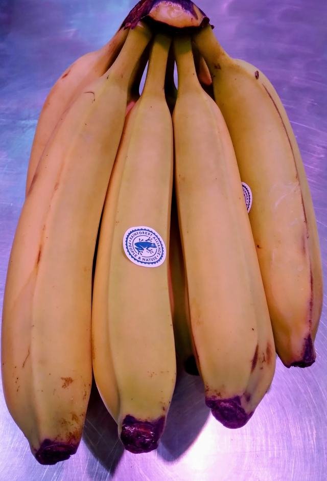 Plátano