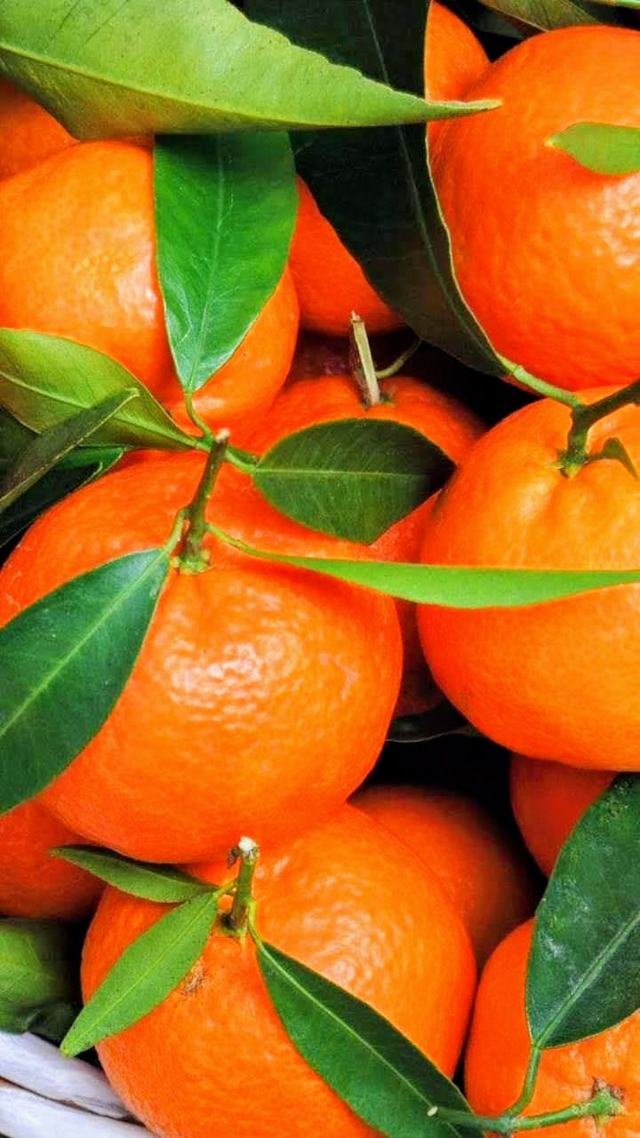 Clementinas