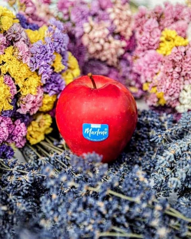 Manzana Royal Gala