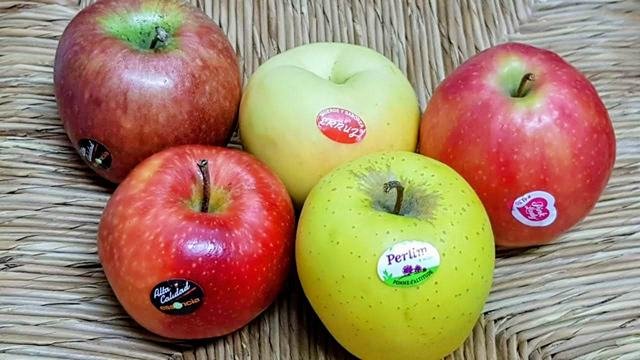 Manzanas Fuji, Verde Doncella, Pink, Red Chief, Golden extra