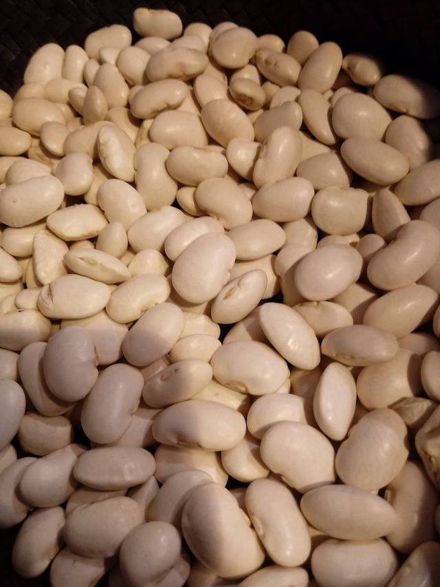 Fabada Granja