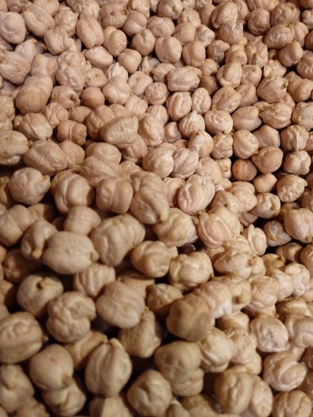 Garbanzo Castellano