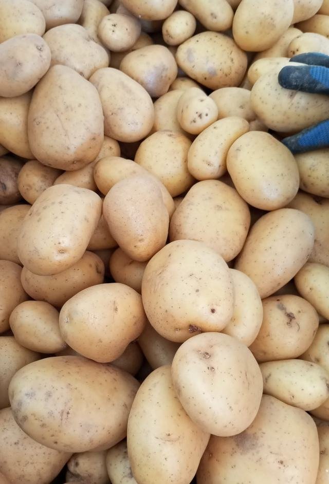 Patata lavada