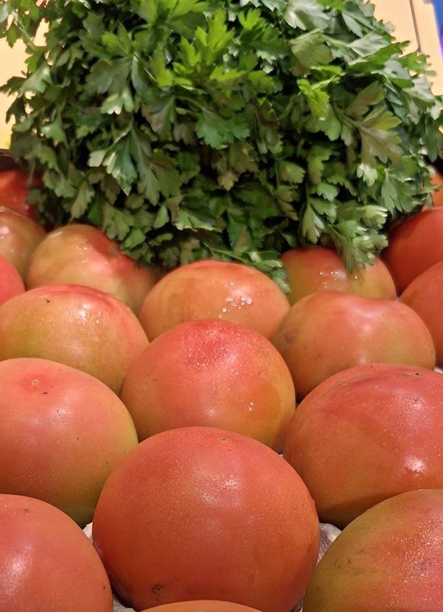 Tomate Daniela