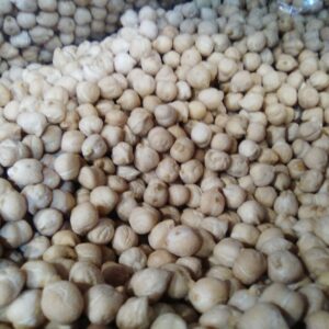 Garbanzo Pedrosillano